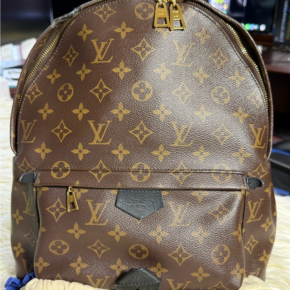 Louis Vuitton Palm Spring Mm with duster